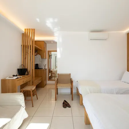 Damianos Mykonos מלון 3*