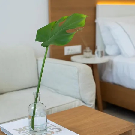 호텔 다미아누스 미코노스 Mykonos Town