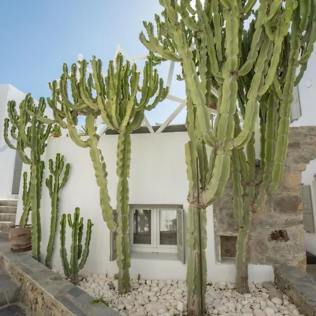 Damianos Mykonos מלון