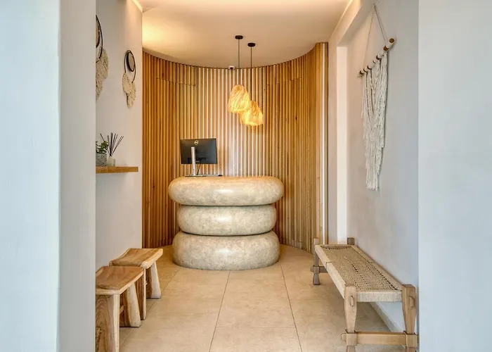 米科诺斯达米安诺斯酒店 酒店 3*