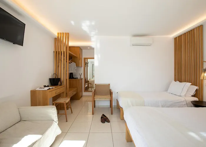 米科诺斯达米安诺斯酒店 酒店 3*