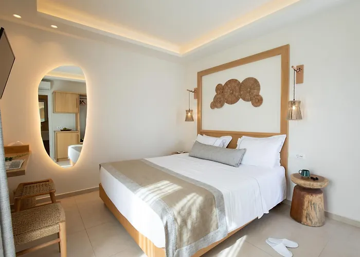 酒店 米科诺斯达米安诺斯酒店 Mykonos Town