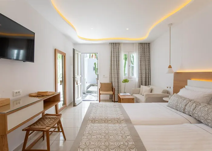 酒店 米科诺斯达米安诺斯酒店 3*