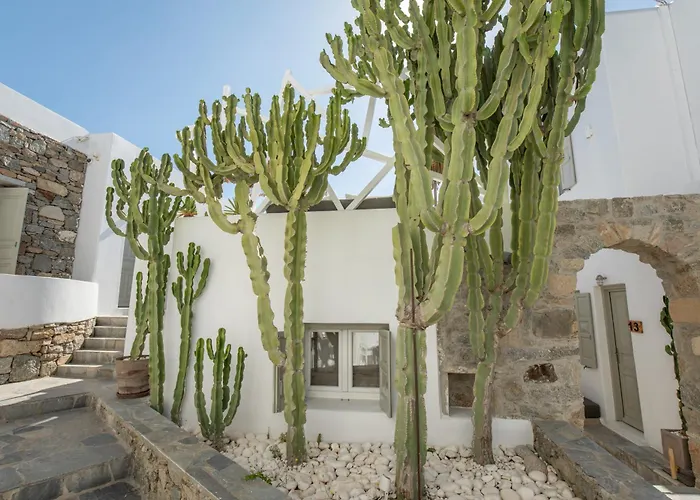 米科诺斯达米安诺斯酒店 酒店