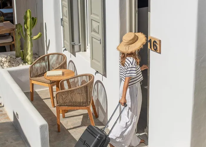 米科诺斯达米安诺斯酒店 3*